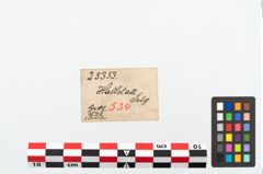 Etikett zu Bronzekahnfibel (NHMW-PRAE-025353)